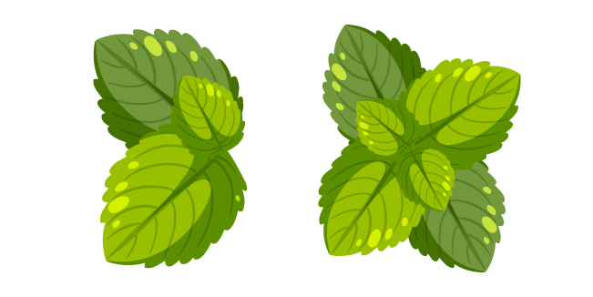 Green Mint Leaves