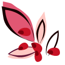 Hand-Drawn Pomegranate  pointer