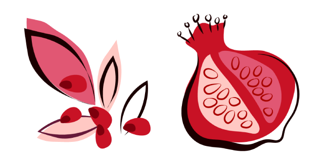 Hand-Drawn Pomegranate 