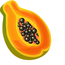 Papaya pointer