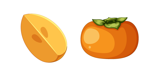 Persimmon Fruit