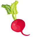 Radish pointer