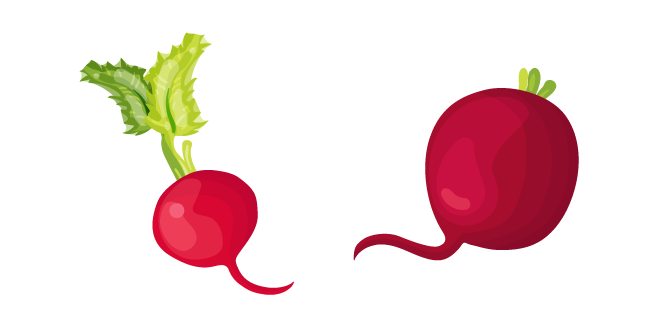 Radish