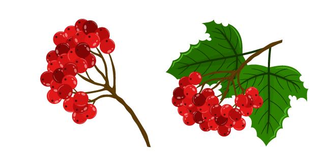 Viburnum