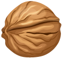 Walnuts cursor