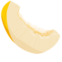 Yellow Melon pointer