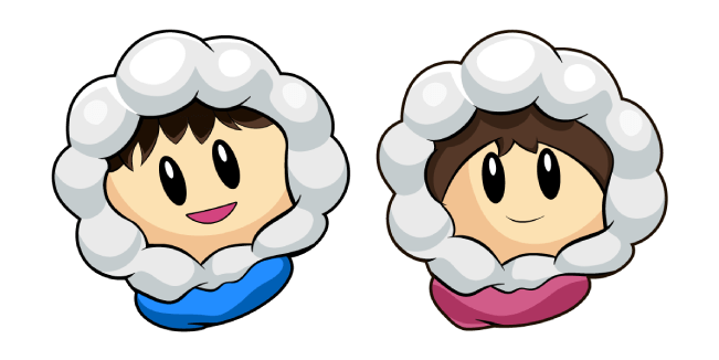 Ice Climber Popo And Nana