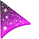 Black Pink Glitter pointer