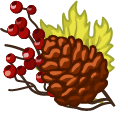 Thanksgiving Day Cornucopia and Conifer Cone pointer