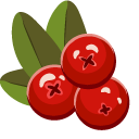 Thanksgiving Day Rowan and Acorns pointer