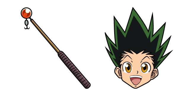 Hunter x Hunter Gon Freecss