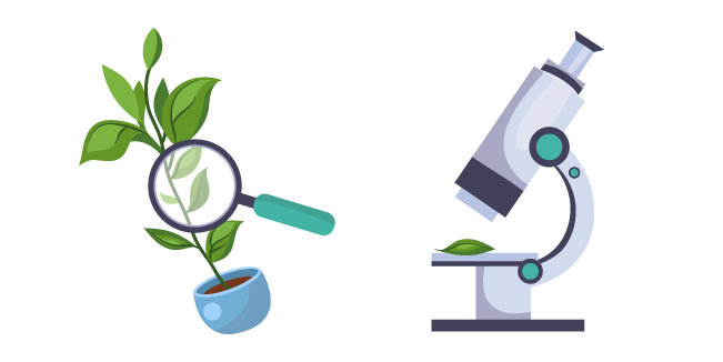 Biologist: Plant and Microscope