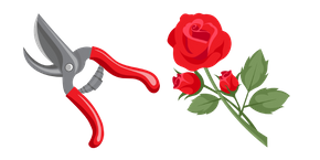 Florist