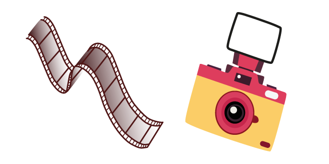 Photographer
