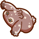 Cute Aplysia Depilans pointer