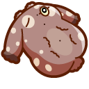 Cute Aplysia Depilans cursor