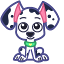 Cute Dalmatian Puppy pointer