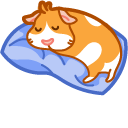 Cute Guinea Pig on Pillow pointer