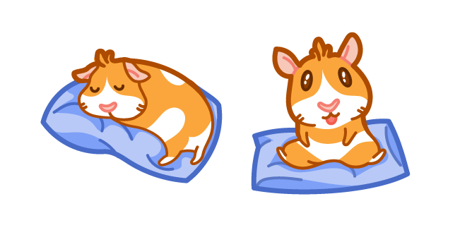 Cute Guinea Pig on Pillow