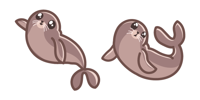 Cute Seal