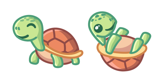 Cute Turtle
