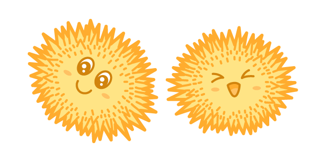 Kawaii Orange Sea Urchin