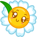 Kawaii Smiling Happy Daisy pointer