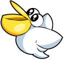 Kirby Cawcun pointer