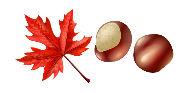 Autumn Red Maple Leaf and Chestnut