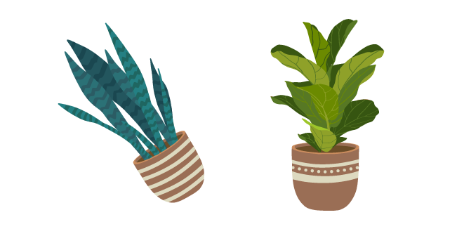 Fiddle Leaf Fig and Aglaonema in Flowerpots