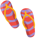 Flip-Flops and Beach Ball pointer