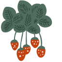 Garden Strawberry cursor