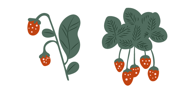 Garden Strawberry