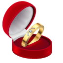 Gold Proposal Rings pointer