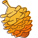 Hand Drown Conifer Cone and Acorn pointer