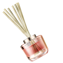 Scented Reed Diffusers pointer