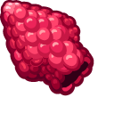 Materials Raspberry pointer