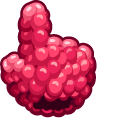 Materials Raspberry cursor