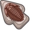 Materials Trilobite Fossil pointer