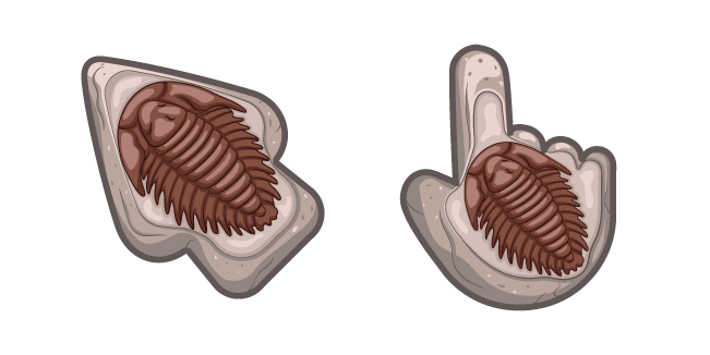 Materials Trilobite Fossil