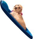 Boat Dog Meme pointer