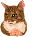 Cat with Hands Meme pointer