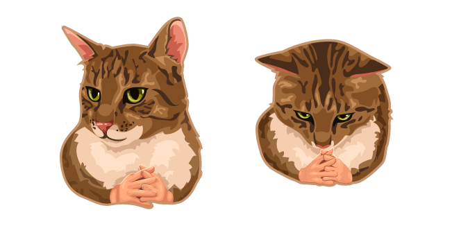 Cat with Hands Meme