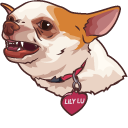 Chihuahua Lily Lu Meme pointer