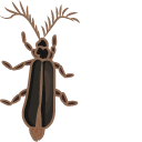 Eyelash Bug Meme cursor