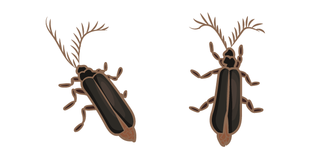 Eyelash Bug Meme