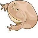 It Is Wednesday My Dudes Meme pointer