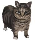 Oo Ee A E A Cat aka Oiia Meme cursor