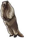 Screaming Marmot Meme pointer