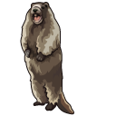 Screaming Marmot Meme cursor